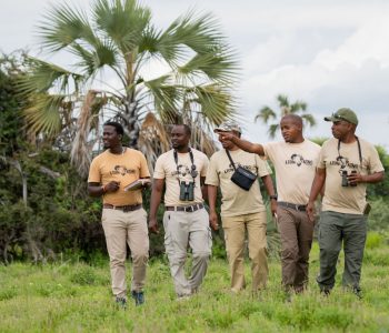 Safari Guide 3