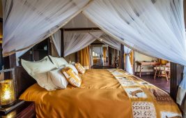 Lake Ndutu Luxury Lodge 6