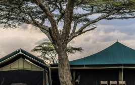 Anga'ata ndutu camp 6