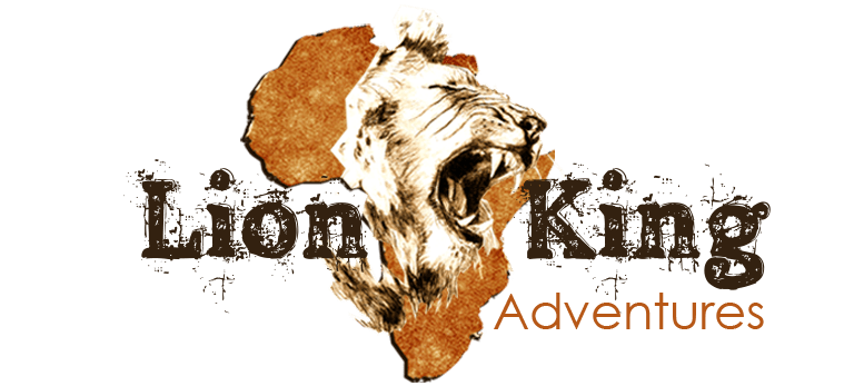 Tanzania Safari | Safari in Tanzania | Tanzania Safari Tours