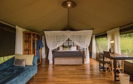 dunia-guest-tent-interior
