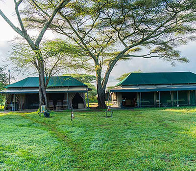 Accommodation-northern-Serengeti